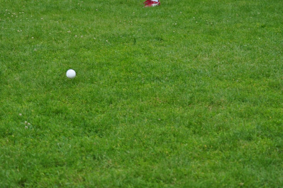 p fri wiffel ball (73)